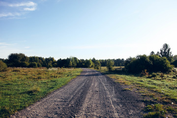 Fototapeta na wymiar Path leading to forest