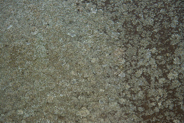 Photo rock moss background old grunge