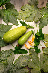 Fresh ripe green zucchini fruits with leaves and flowers on a white table .