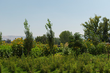 Overlooking the magical Bekaa Valley