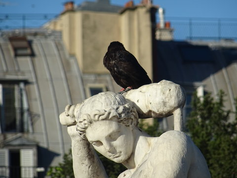 Statuen und Kr&auml;hen