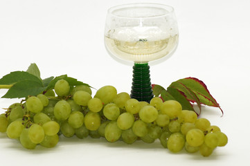 Frische Weinrebe freigestellt auf weißem Hintergrund