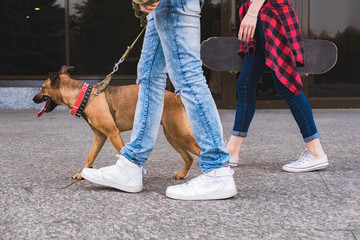 Young people walk the dog on a pavement. Young man with a dog on the leash and young female with a...