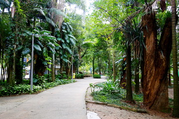 Trail paved with cement crossing a park. Green trees and vegetation. 
