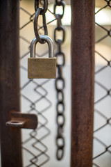 Lock on a chain link security fence. Chicken wire fence gate is locked with a chain and a padlock. padlock and strong steel chain wrapped around the metal entrance gate.
