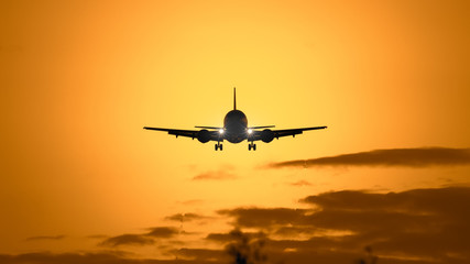 Plakat air plane in sunset sky