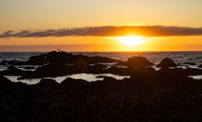Obraz premium Vivid ocean sunset with dark rocks in silhouette on beach, and sun on horizon