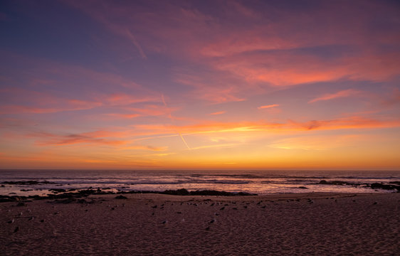Wide shot over beach at dusk, with beautiful vivid purple orange gradient sky and seagulls resting on sand