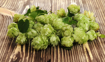 Pile of green fresh-picked hop cones on wooden table. Ingredient for beer production (brewing).