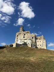 Fototapeta premium castle on the hill