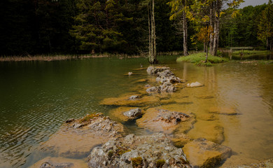 Opacua forest, which is located in Alava