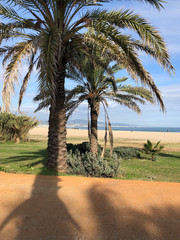 Forum beach in Barcelona