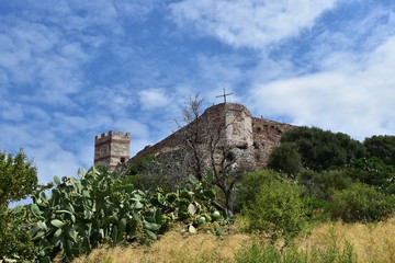 Fototapete bei efototapeten.de bestellen   