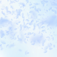 Light blue flower petals falling down. Marvelous r