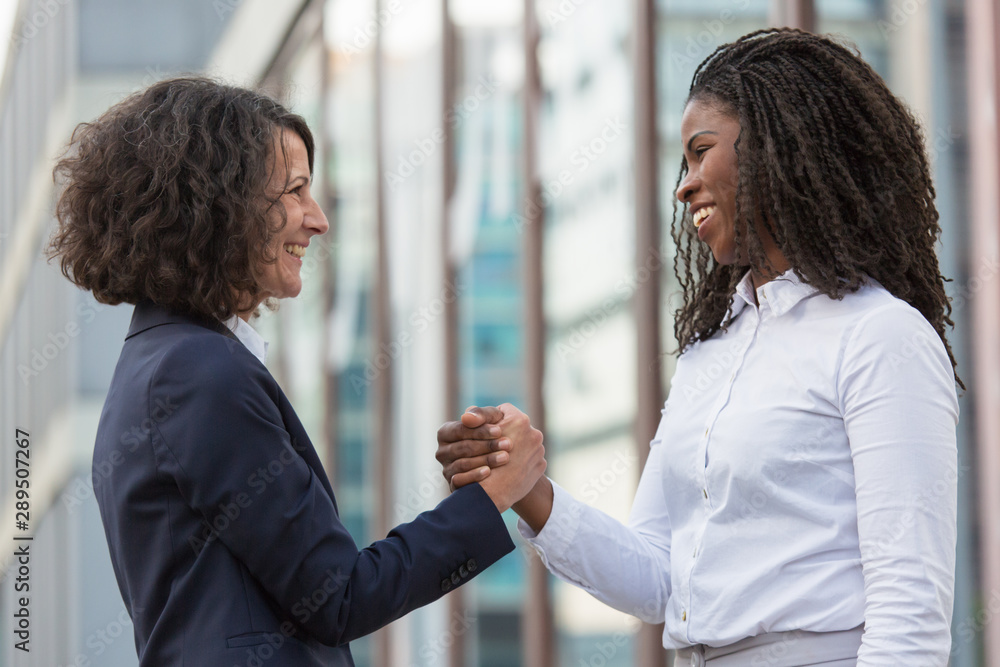 Wall mural excited female business partners successfully closing deal. business women giving friendly handshake