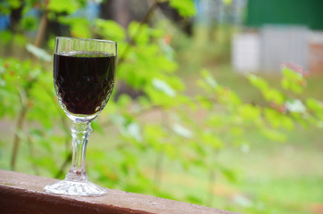 Two glasses of wine pouring wine from a bottle on a background of green foliage. Autumn concept with red wine glasses, wine bottles, vineyard landscape and grapes in nature.