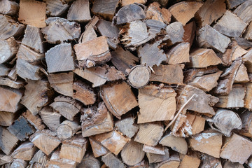 Fototapeta premium CUTTED TREE TRUNK FOR DOMESTIC FIREWOOD
