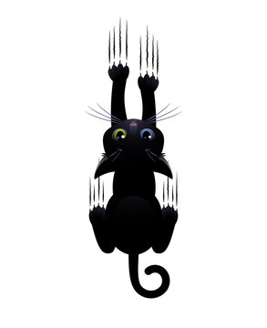 Black cat with eyes of different colors scratches white background. Cute cartoon character. Vector illustration.
