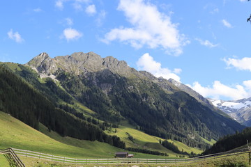 Fototapeta premium Berg