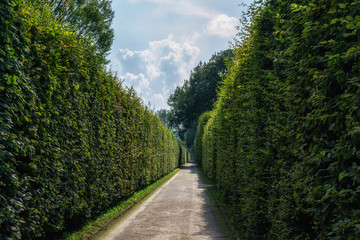 cesky krumlov garden