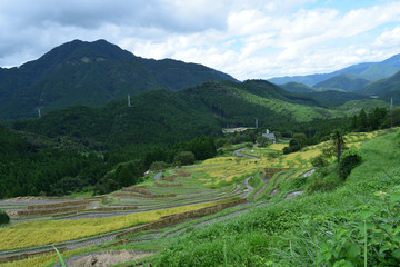 丸山千枚田