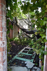Abandoned house taken back by nature