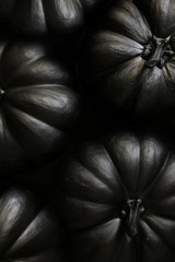 halloween black pumpkin on the black background