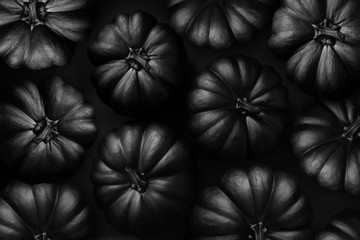 halloween black pumpkin on the black background - obrazy, fototapety, plakaty