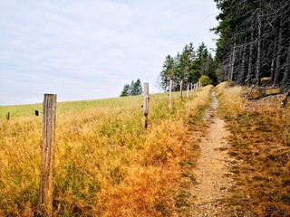Fototapeta premium wooden fence in the countryside