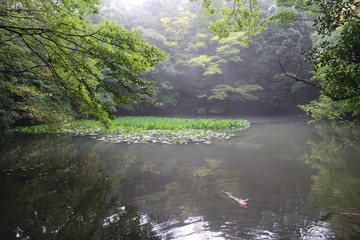 池　伊勢神宮
