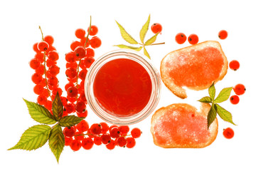Red Currant Jelly With Berries And Toast isolated and  flat layed on a white background. © audaxl