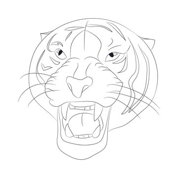 vector illustration portrait of tiger lines, vector