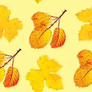 A seamless autumn pattern with vibrant yellow and orange fall leaves on a faded yellow background, an autumnal repeat print, toned image