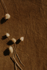 Dry flowers on dark brown background. Flat lay, top view minimal neutral floral composition.
