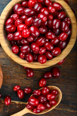 harvest dogwood on a wooden background