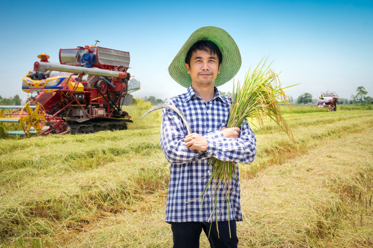 Asian Young farmer happy harvest paddy rice in a green rice field with harvest car and blue sky background