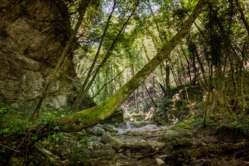 Chianni, Pisa, Tuscany - Ghiaccioni Waterfall