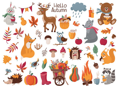 Big set of autumn herbs, leaves and forest animals