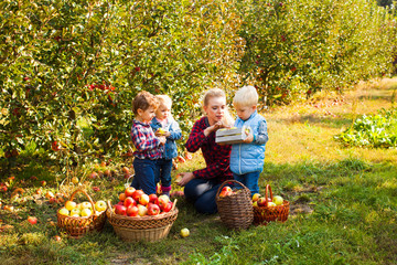 Teacher with preschoolers in the apple garden