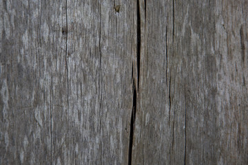 Alte Holztüren / Holzwände