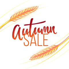 Autumn sale banner with wheat ears