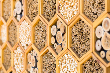 Geometric patterns bee hotel habitats with hollow tubes - obrazy, fototapety, plakaty