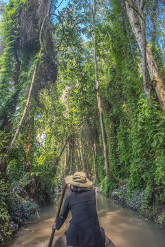 Xeo Quyt boat trip in the jungle, Vietnam