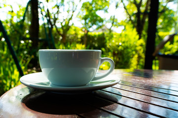 Morning cup of coffee and nature on green background .