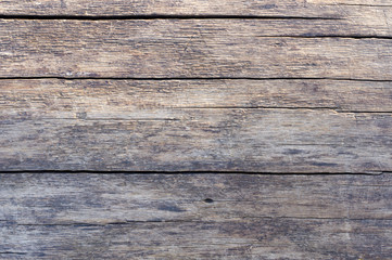 old rustic wood background. old wood with mold or fungal background texture, wooden boars, wooden floors, blackforest shabby