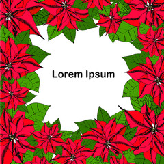 Poinsettia background Lorem Ipsum. Red flowers green leaves hand drawn bright winter holiday design element stock vector illustration for web, for print, for card, for banner