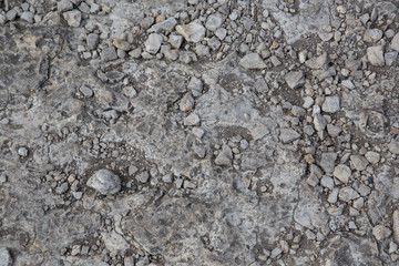Felsen / Nahaufnahme