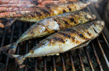 Obraz na płótnie Canvas Appetizing grilled fish on a fest food. Steet food.