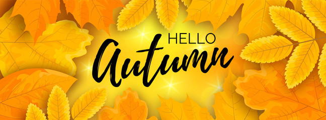 Horizontal hello autumn shiny banner © Skutiherra