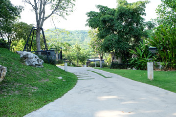 Asphalt Walkway in park outdoor through the green summer park outdoor. 